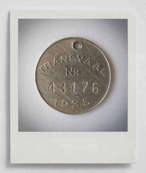 TRANSVAAL DOG BADGES x 7