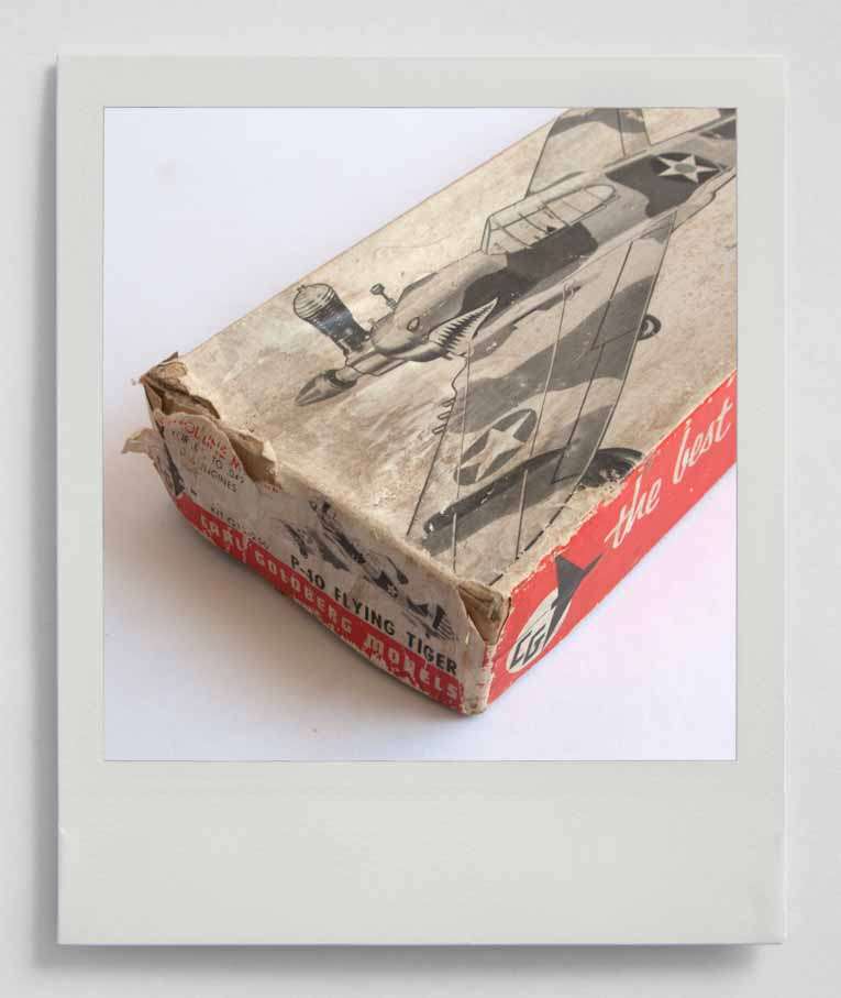 CARL GOLDBERG MODELS P-40 FLYING TIGER