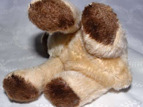 Bugsy soft toy
