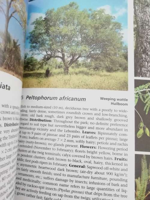 Field Guide to the Trees of the Kruger National Park / Piet van Wyk