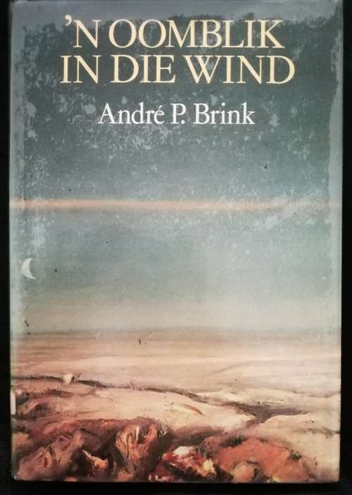 `n Oomblik in die Wind / Andre P. Brink