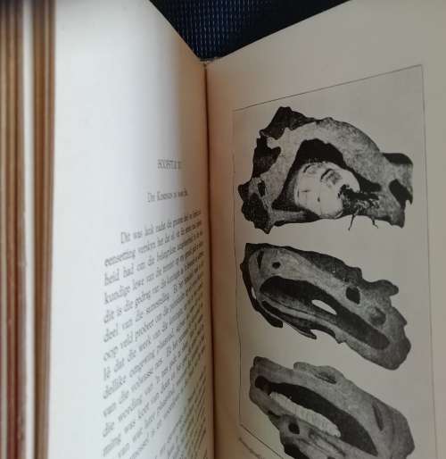 Die Siel van Die Mier - Eugene N. Marais