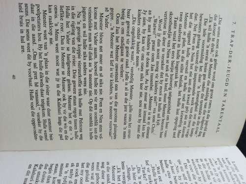 Die Kamp in Duinstraat / S. P. Malan