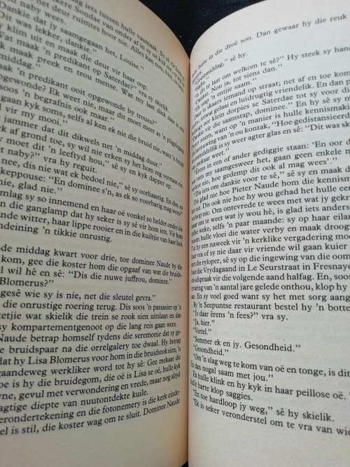 DIE VLOED / Morkel van Tonder