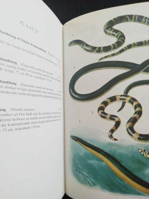 Slange van Suidelike Afrika / VFM FitzSimons