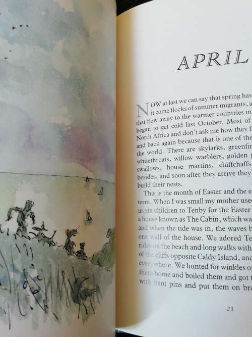 My Year / Roald Dahl