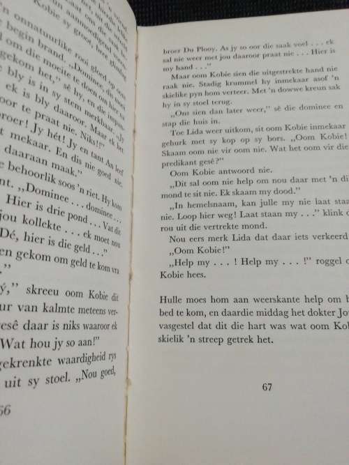 DIE DU PLOOYS VAN SOETMELKVLEI / JAN SCHUTTE