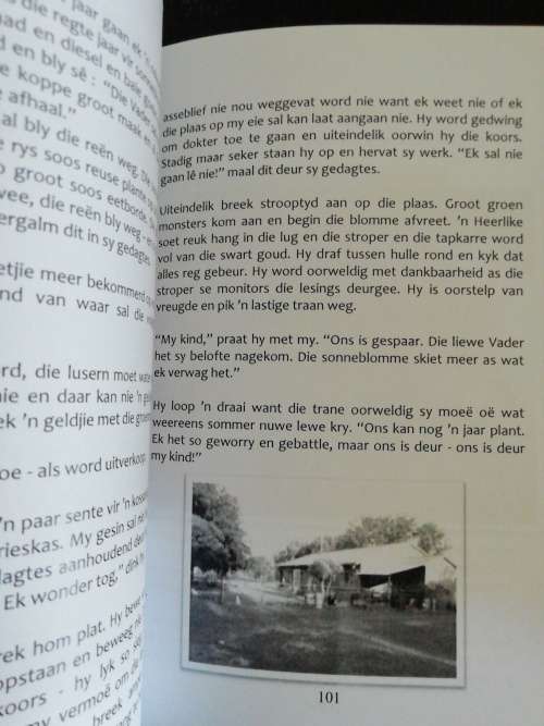 Madz Kronkelpad  Madeleine Baumgarten