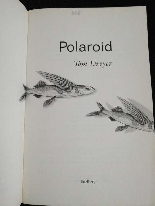 Polaroid  / Tom Dreyer