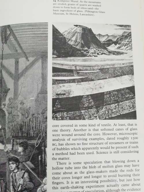 The book of bottle collecting by Doreen Beck