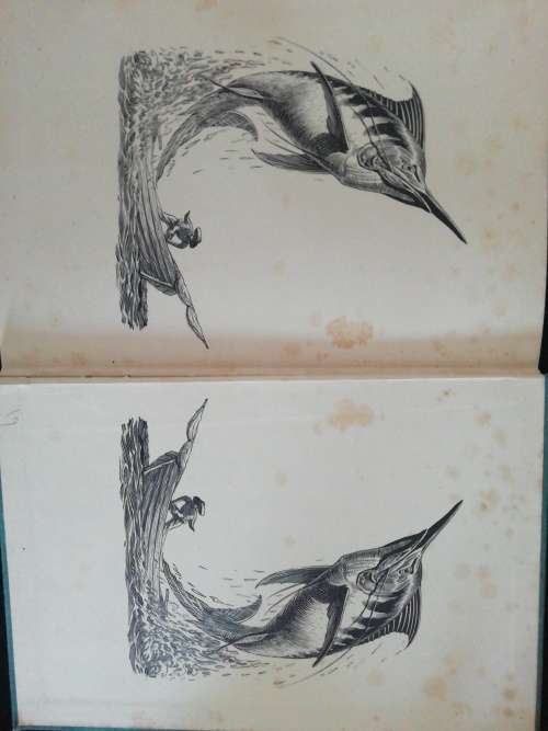 The Old Man and the Sea Hemingway, Ernest  Published by The Reprint Society, London, 1953