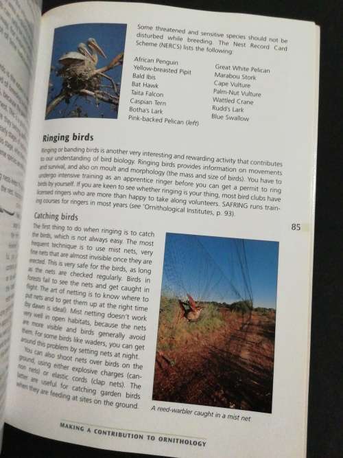 Sasol Birdwatching in Southern Africa  /  Peter Ryan