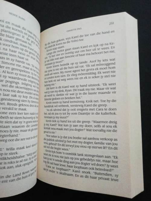 SIENDE BLIND  /  CHANETTE PAUL