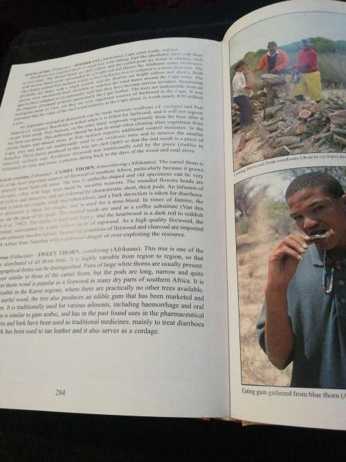 People`s Plants - A Guide to Useful Plants of Southern Africa - Ben-Erik van Wyk & Nigel Gericke