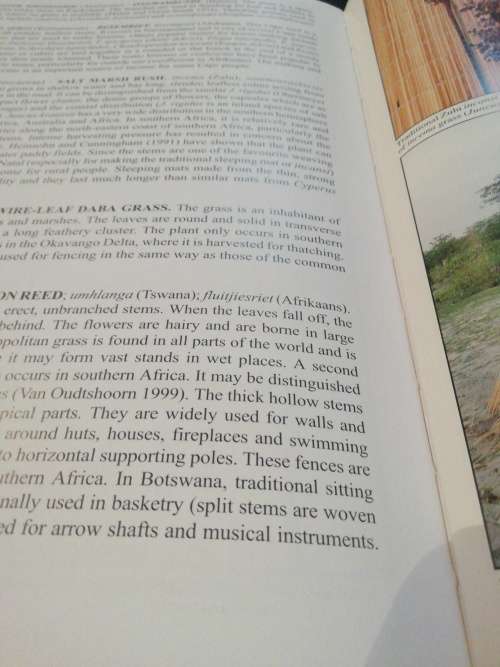 People`s Plants - A Guide to Useful Plants of Southern Africa - Ben-Erik van Wyk & Nigel Gericke