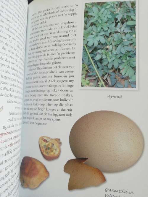 Kruidjie roer my /Antoinette Pienaar