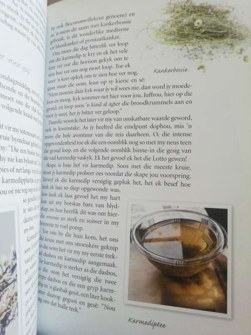 Kruidjie roer my /Antoinette Pienaar