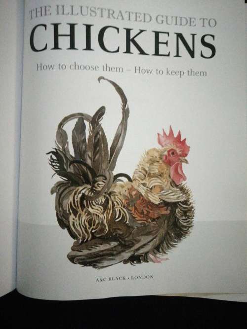 The Illustrated Guide to Chickens: How to Choose Them, How to Keep Them / Celia Lewis