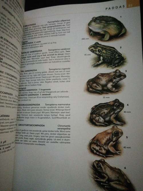 Die NATUURLEWE van SUIDER-AFRIKA / Vincent Carruthers