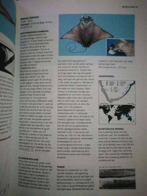 `n Gids tot Die Algemene Seevisse van Suider-Afrika / Rudy van der Elst