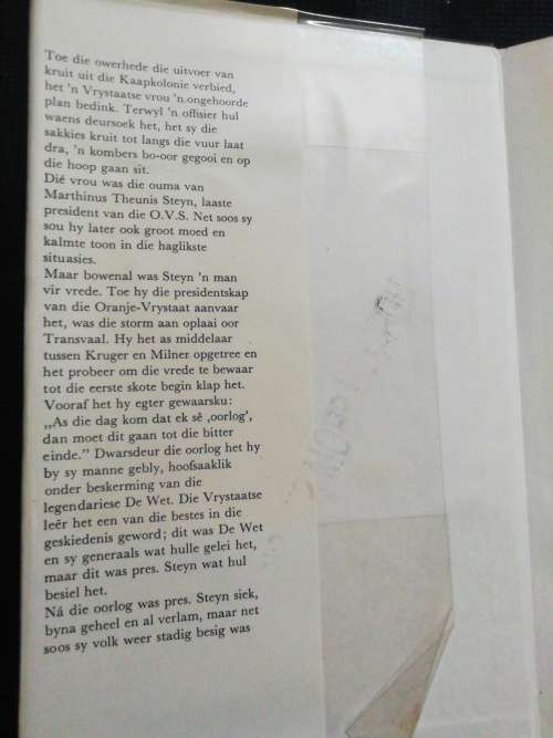 Vader van sy volk - President MT Steyn / Johannes Meintjes