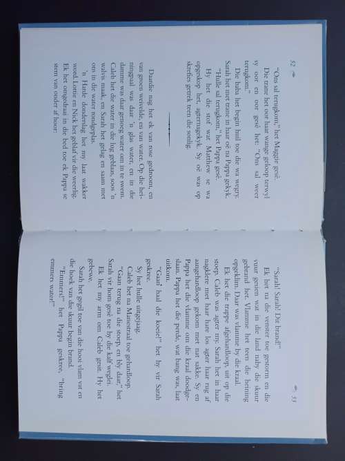 Lewerik / Patricia MacLachlan (vertaal deur Rona Rupert)