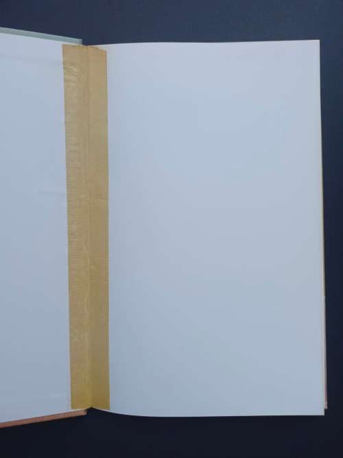 Renier sny spoor / Earl Martin