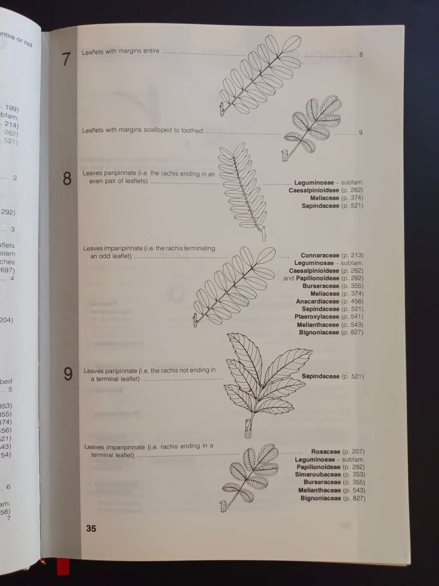 Trees of Southern Africa / Keith Coates Palgrave