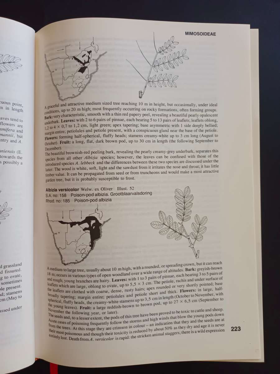 Trees of Southern Africa / Keith Coates Palgrave