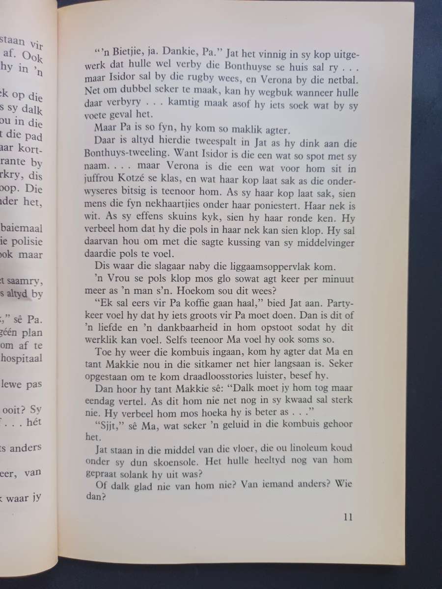 Jat kry vlerke / Engela van Rooyen