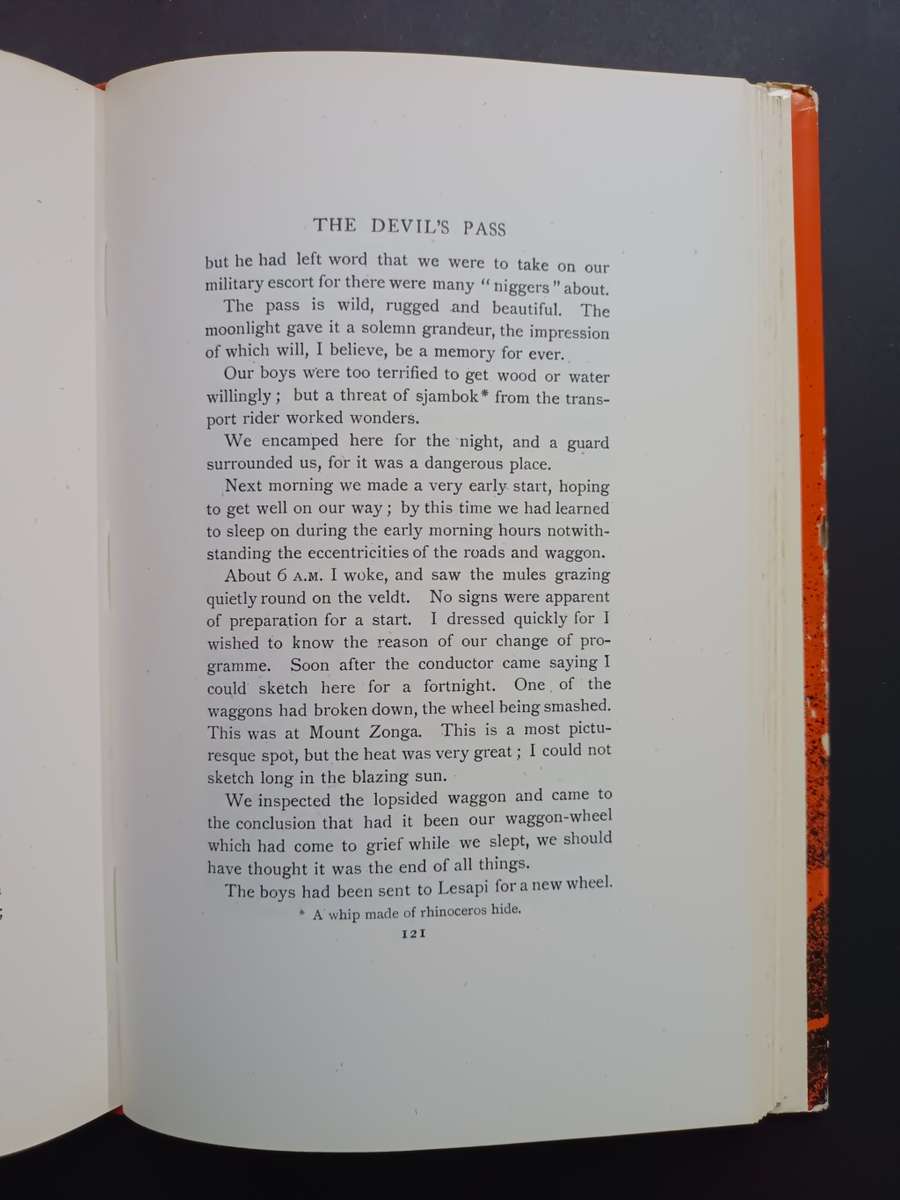 RAIDERS and REBELS in South Africa / E. Goodwin Green