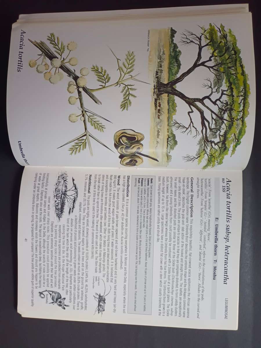 The Shell Field Guide to the Common Trees of the Okavango Delta and Moremi Game Reserve / V. Roodt