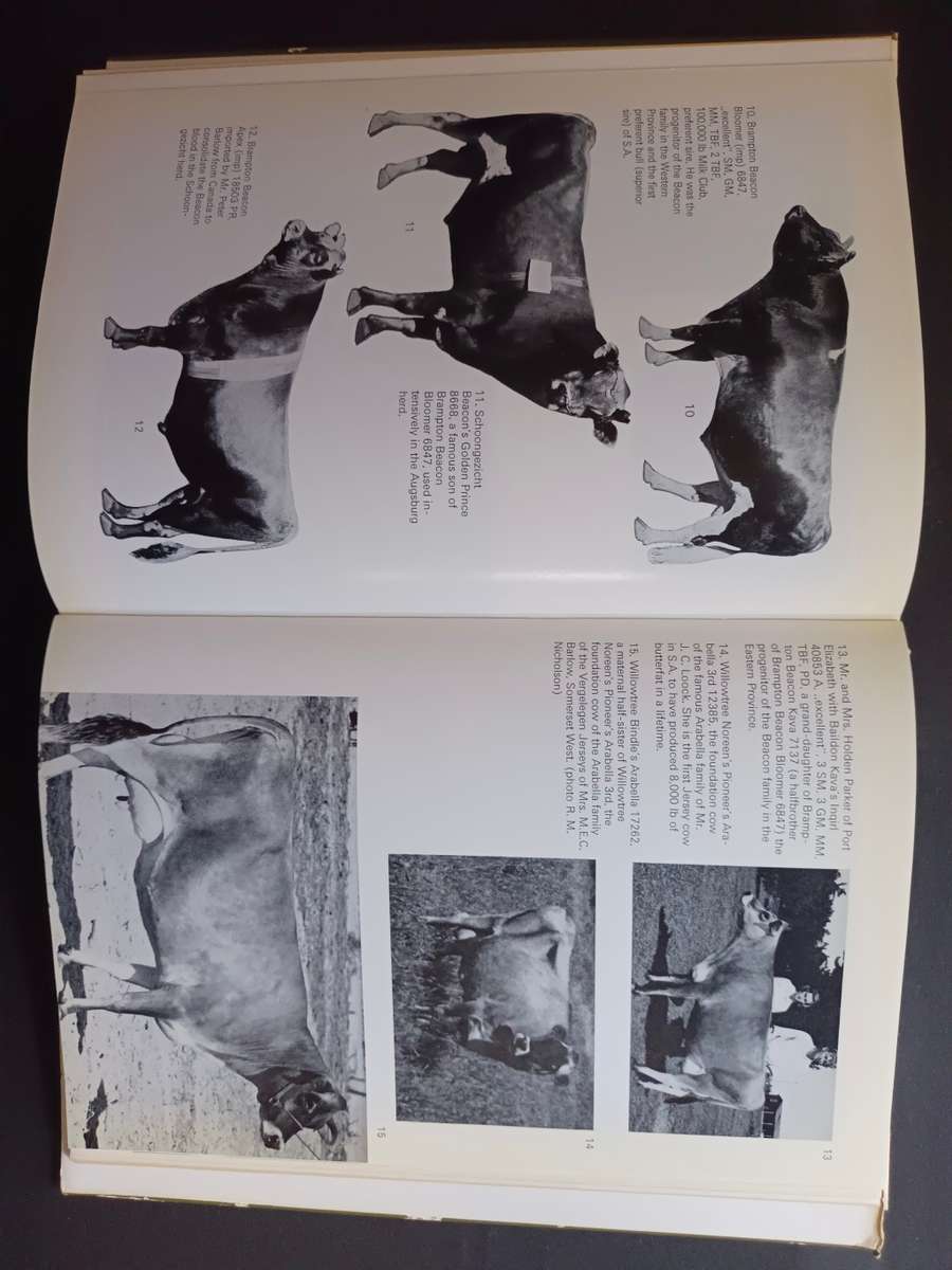 Jerseys in Southern Africa / Nel, G. D.