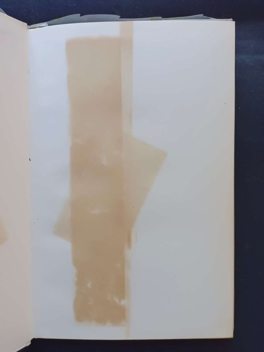 Apartheid and Survival: A Jewish view / Henry Katzew