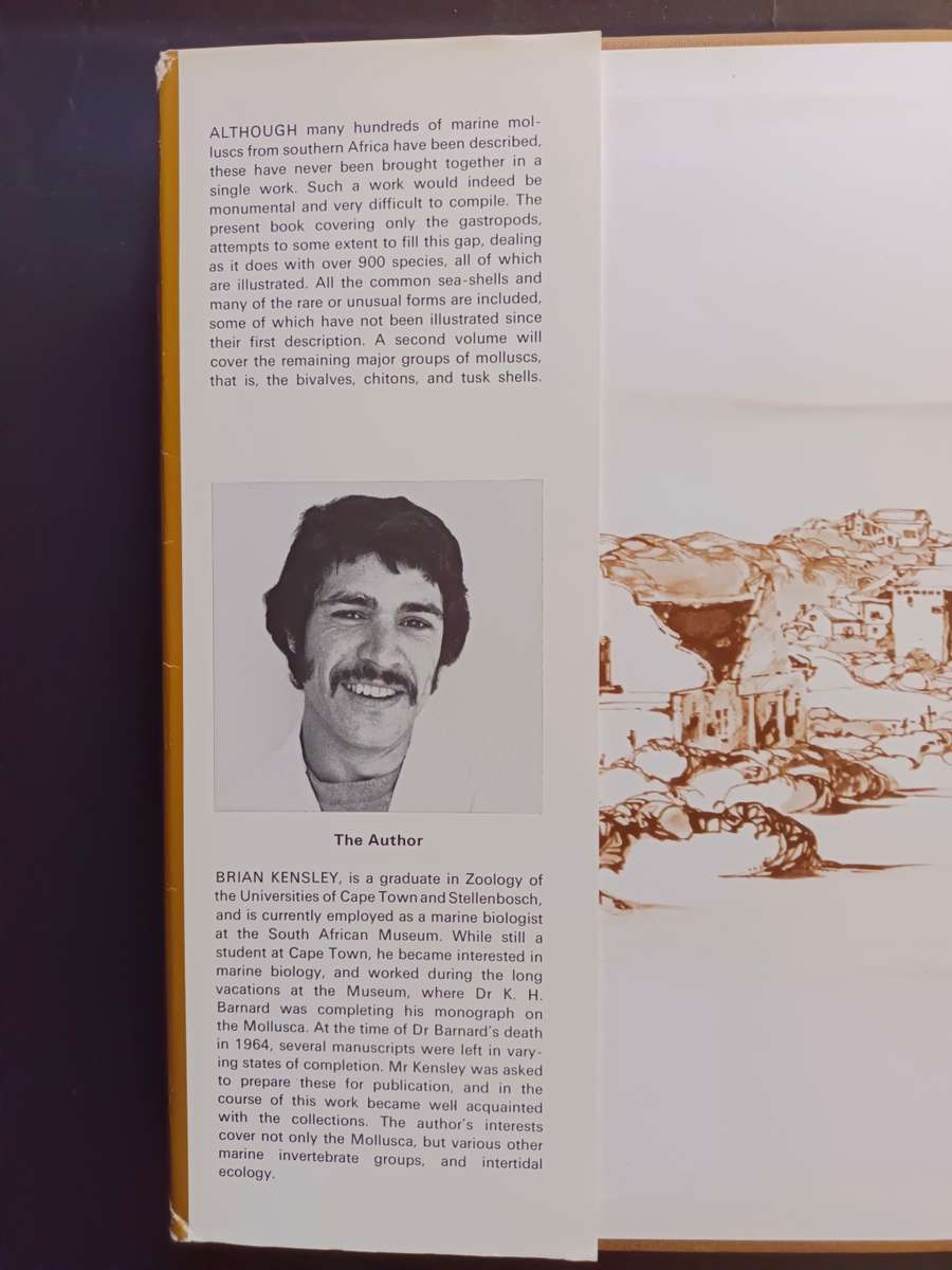 SEA-SHELLS of Southern Africa - Gastropods / Brian Kensley