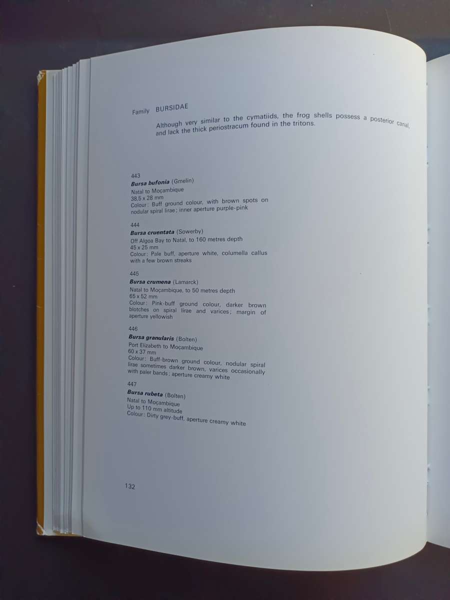 SEA-SHELLS of Southern Africa - Gastropods / Brian Kensley