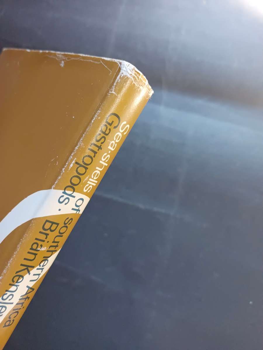 SEA-SHELLS of Southern Africa - Gastropods / Brian Kensley