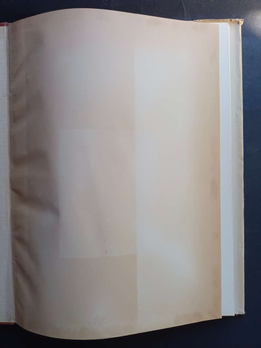 UNDER THE TABLECLOTH: Papas looks at the Peninsula / William Papas & Aubrey Sussens