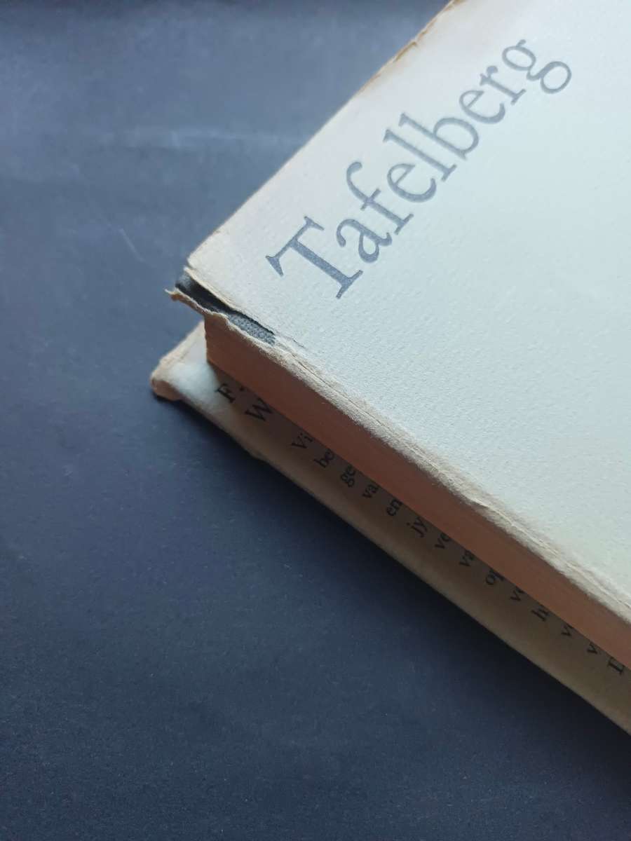 Werfjoernaal / F.A. Venter