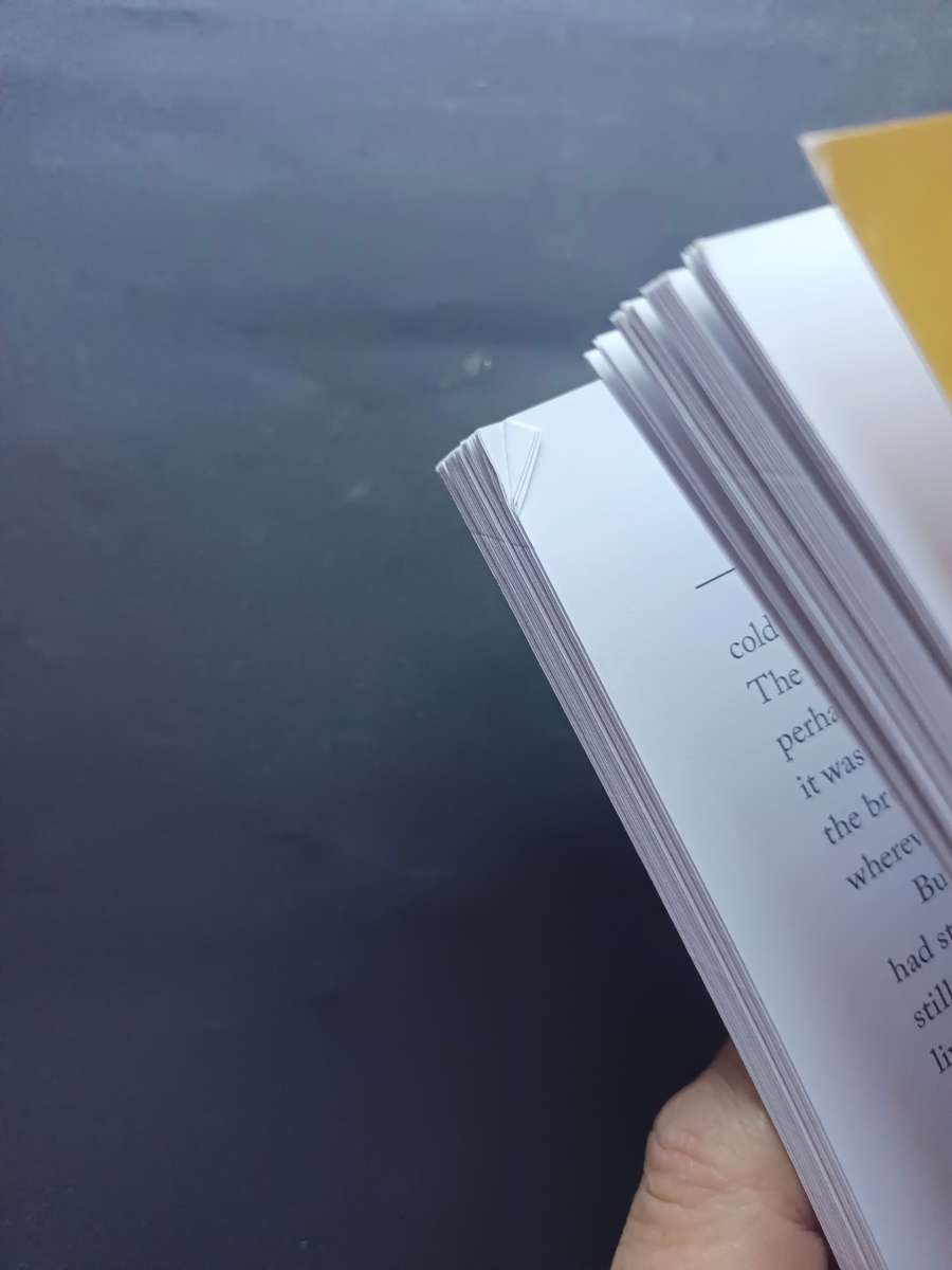 Pilot, Prisoner, Patriot / Air Vice-Marshal Hugh Slatter