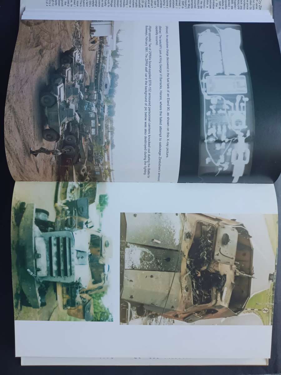 Cry Zimbabwe : Independence - Twenty years on / Peter Stiff