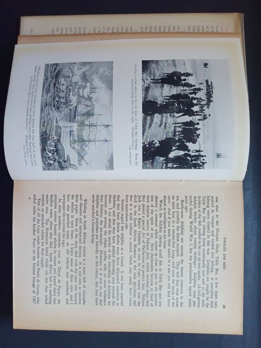 SOUTH AFRICAN BEACHCOMBER / Lawrence G. Green (1958)