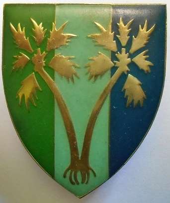 SWA 6 Signal Unit (Grootfontein) Shoulder Flash Pins Intact Dinnes 4587