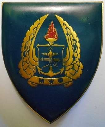 SA Army Gymnasium Shoulder Flash Pins Intact Dinnes 4465