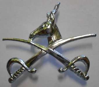 PT Instructor Proficiency Badge Dinnes 909