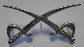 Assistant PT Instructor Badge Dinnes 910