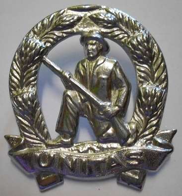 Commando Chromed Cap Badge Large Size Loop Type Dinnes 120