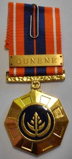 Full Size Pro Patria Medal Numbered at Back Flush Epoxy In Original Box w/ Cunene Bar