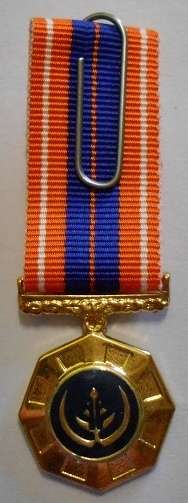 Miniature Pro Patria Medal Raised Epoxy