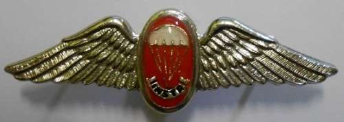 SA Parachute Freefall Instructor Chrome & Lucite Covered Centre Mess Dress Wing Dinnes 319
